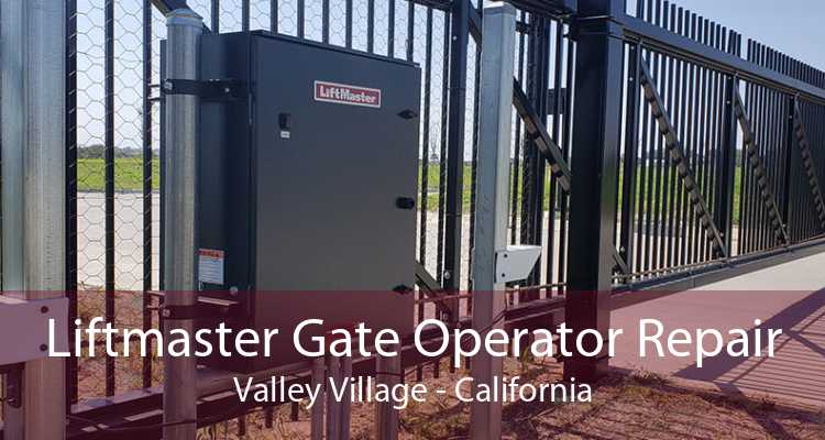 Liftmaster Gate Operator Repair Valley Village - California